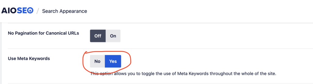 all-in-one-seo-meta-tag-settings